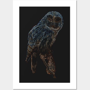 owl, owl colored Posters and Art